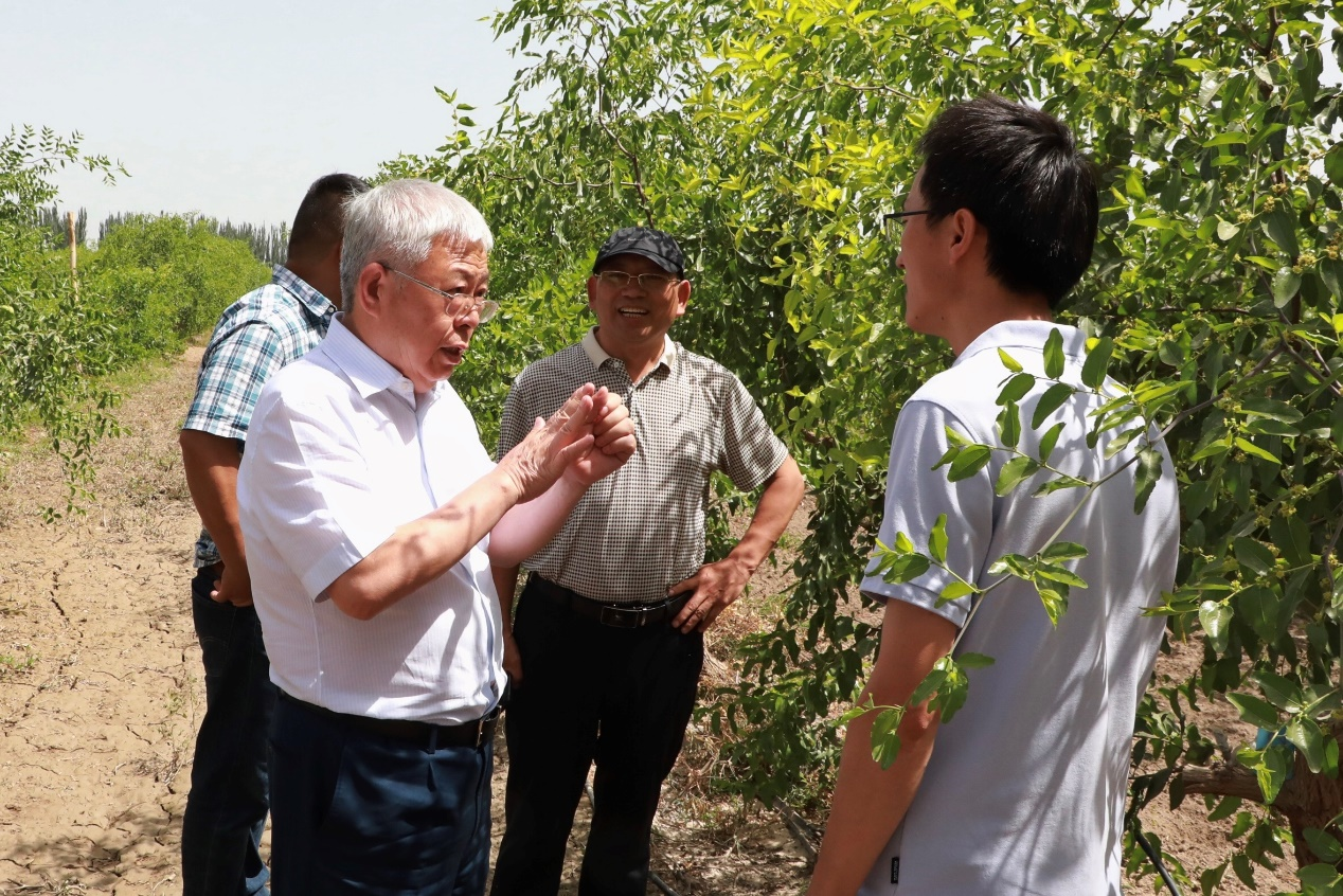 刘永富会长带队在喀什开展产业调研