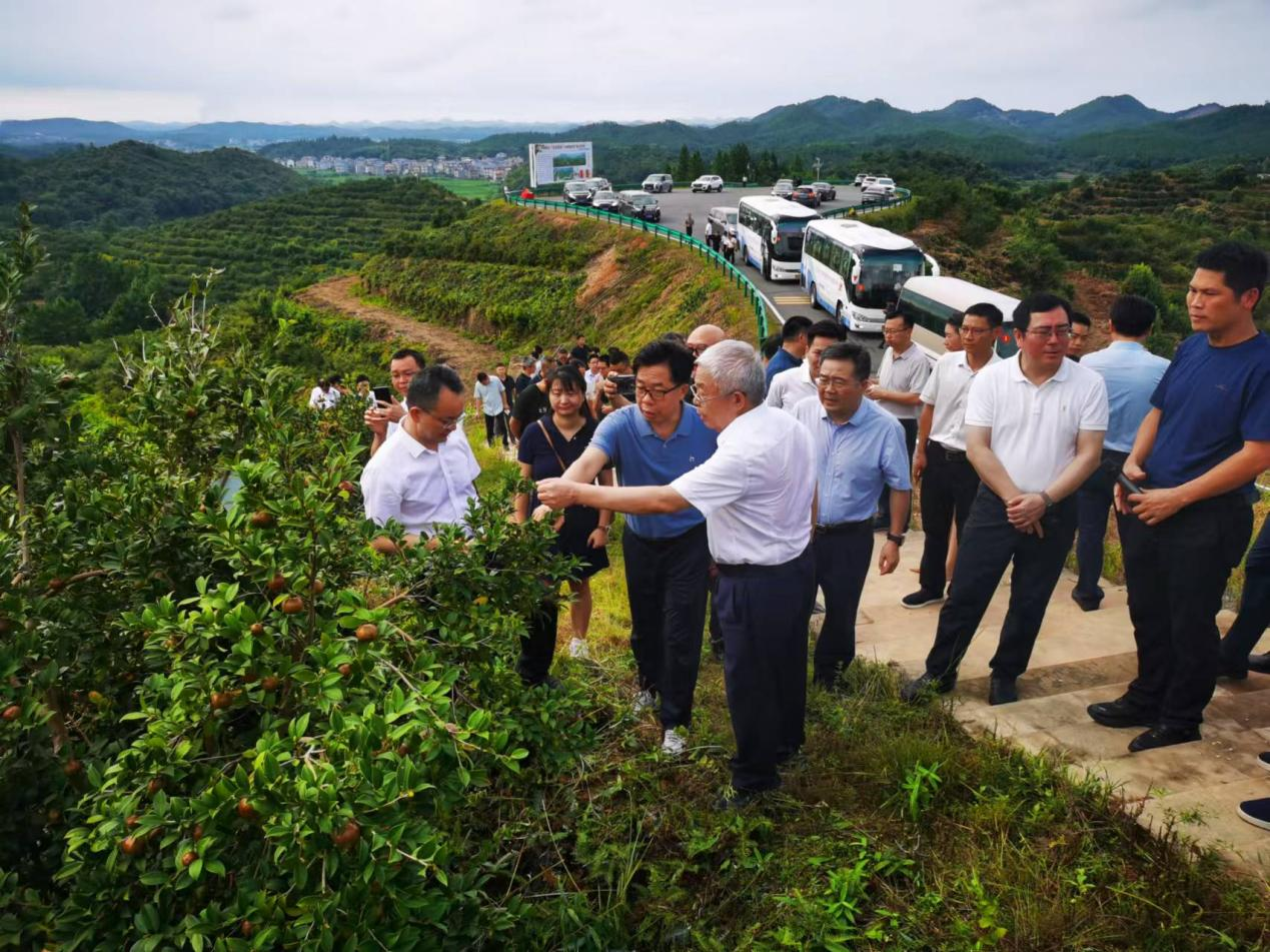 全国政协委员、中国乡村发展志愿服务促进会会长刘永富率队赴江西省调研油茶产业