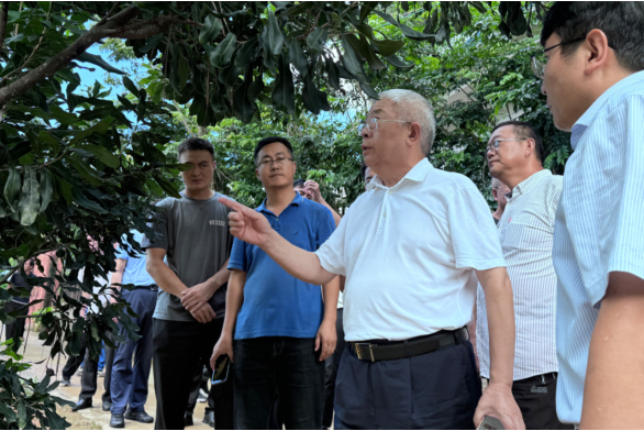 中国乡村发展志愿服务促进会组织有关专家、企业在云南开展核桃产业调研观摩活动