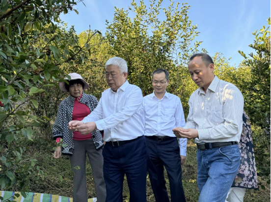 中国乡村发展志愿服务促进会会长刘永富 在广西壮族自治区开展消费帮扶调研