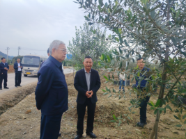 刘永富一行赴湖北十堰开展油橄榄产业调研​